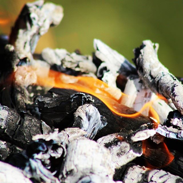  fire flame charcoal BBQ Dalhoun ...