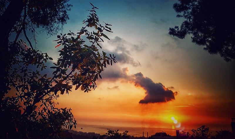 First i thought that the  clouds took that shape upon sunset, so i took... (Ain el-Rihaneh)
