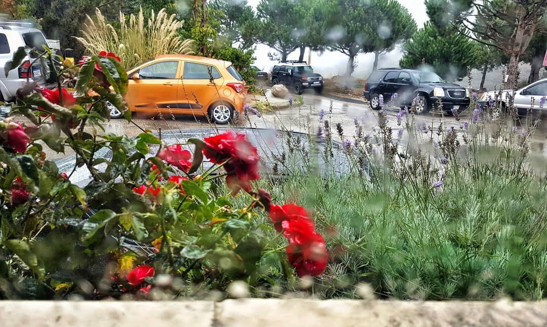 First rain this season  lebanoninapicture  ptk_lebanon  livelovebeirut ... (El Mroûj, Mont-Liban, Lebanon)