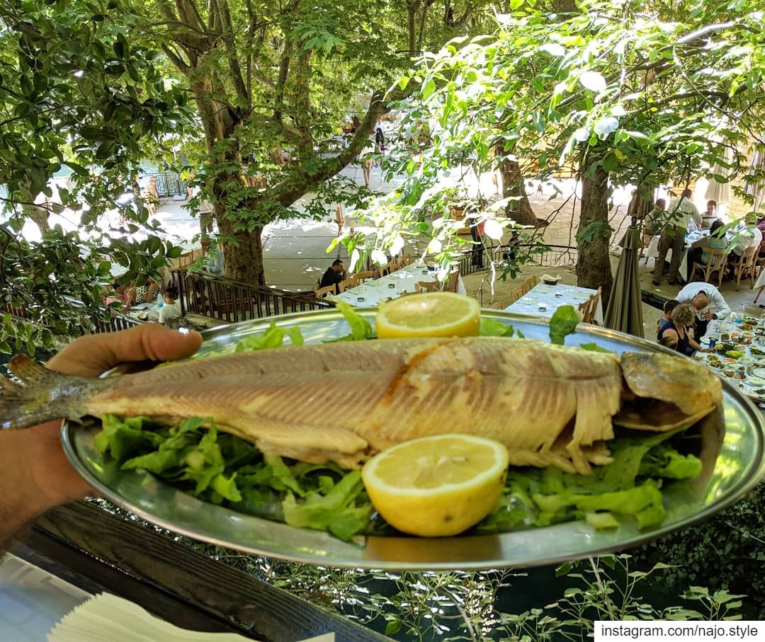  fish  lunchtime😋   lunch  yummy  delicious  fresh  lebanon  lebanese ...