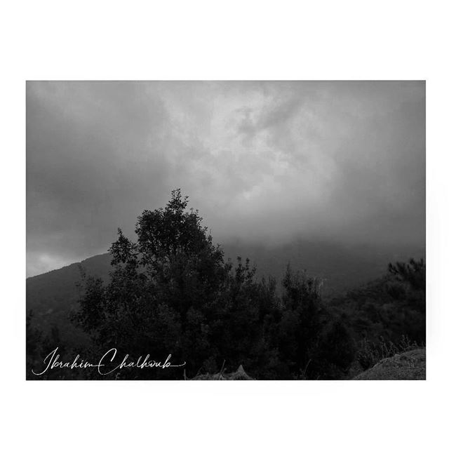 Fog -  ichalhoub was in Ehden north  Lebanon shooting with a mobile phone ...