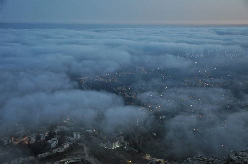  fog  woods  clouds  dinniyah  hiking  hikingadventures  hike  scout ... (Sir Ad Dinniyah, Liban-Nord, Lebanon)