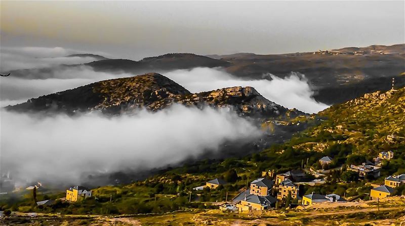 Foggy Day 🌫.. ⛰  ☀️  ☁️  🌅  spring  landscape  water  sky  mountain ... (Horsh Ehden Nature Reserve)