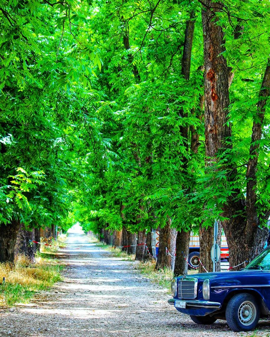 Follow ur own  road 🚗 livelovebekaa ........ naturepainting ... (Taanayel- Bekaa)