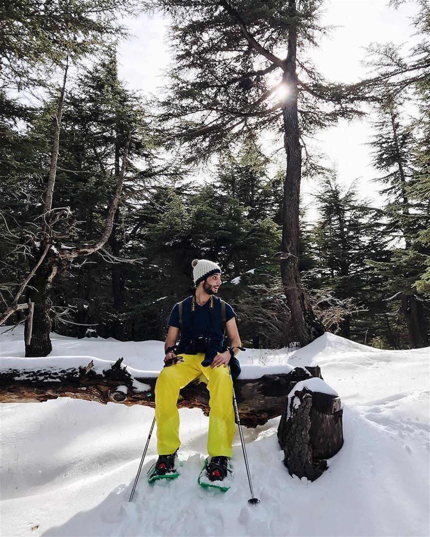 Forest is for rest 🌲❄️-Photo Credit: @nady83- lebanon  north ... (Hadath El-Jubbah, Liban-Nord, Lebanon)