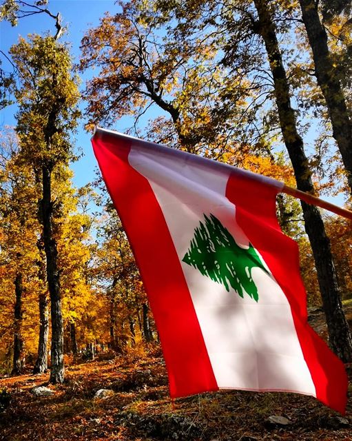  freedom has a high cost and  liberty means  responsabilityHappy... (Fnaïdek, Liban-Nord, Lebanon)