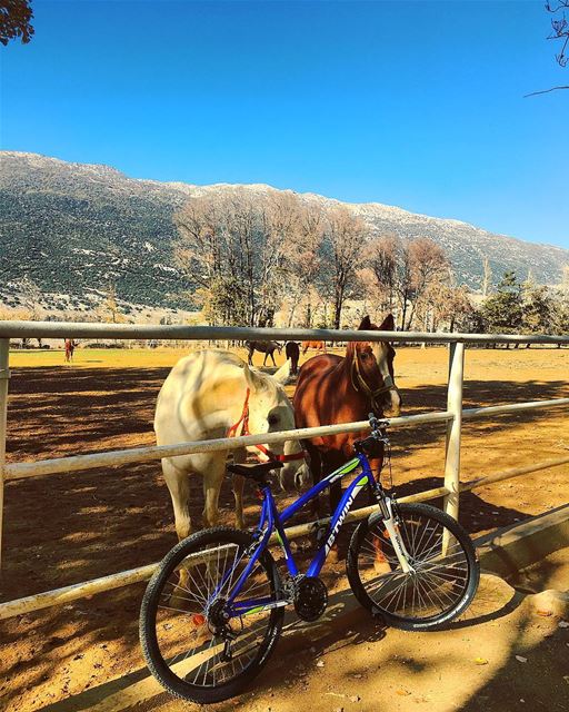•Friends• 🐎🚲 horses  bike  ride  break  nature  outdoor  farm  bluesky ... (`Ammiq, Béqaa, Lebanon)