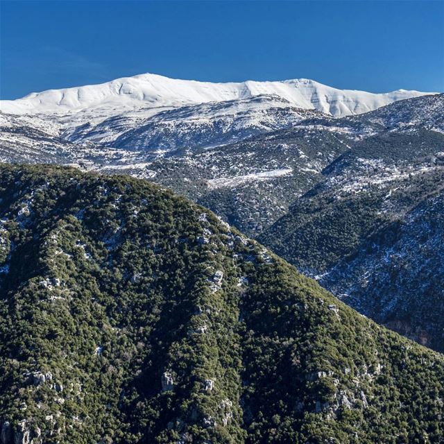 Frigid Day ❄🌞🗻 landscape  valleys  forests  mountains  peaks  snow ... (وادي الصليب)