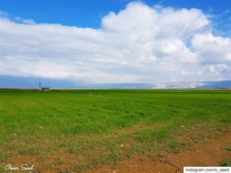 From Ammiq  field land landscapephotography  photooftheday  lebanon  bekaa... (Lebanon)