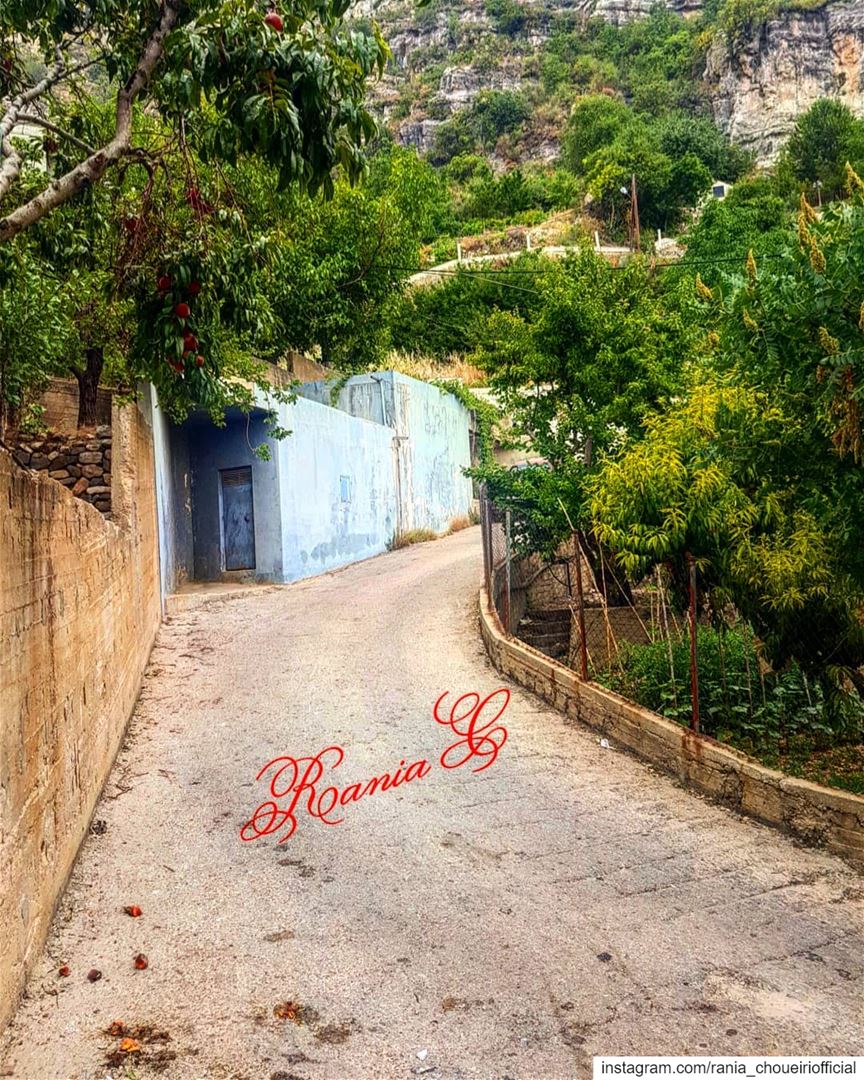  fromakourawithlove ... (Akoura, Mont-Liban, Lebanon)