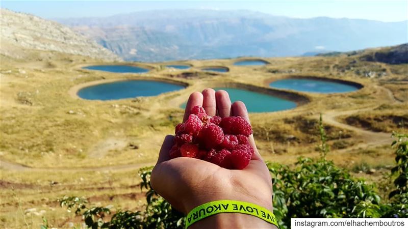 fruit is nature's candy🍇 akoura liveloveakoura livelovebeirut... (Akoura, Mont-Liban, Lebanon)