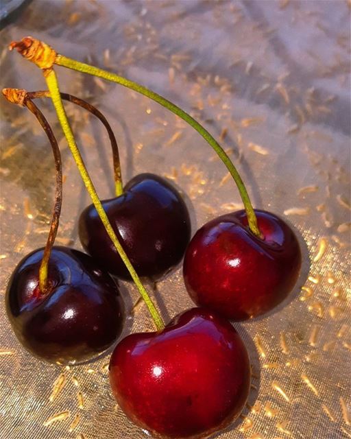  fruits  fruit  cherry  karaz  food  yum😋  yummy  lebanon🇱🇧  Hasbaya ... (Hasbaya)