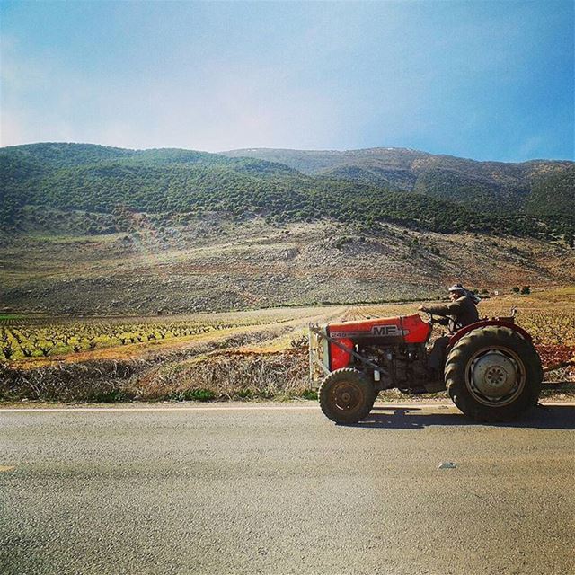 Gd Morning 🚜 bekaavalley  westbekaa  ammiq  tractor  oldman  people ... (Bekaa valley)