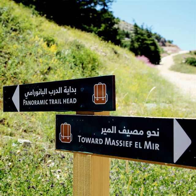 Get lost in the right direction ❤ hiking  explorelebanon  picoftheday ... (Barouk - Shouf)
