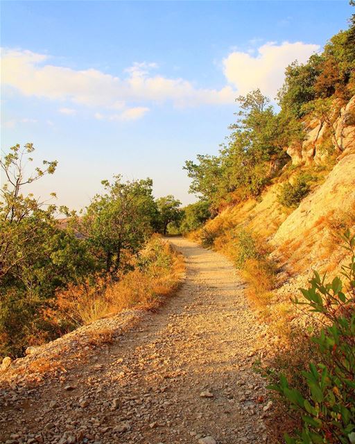 Getting lost here is in the right direction.. road  mountain  reserve ... (La Reserve Horsh Ehden)