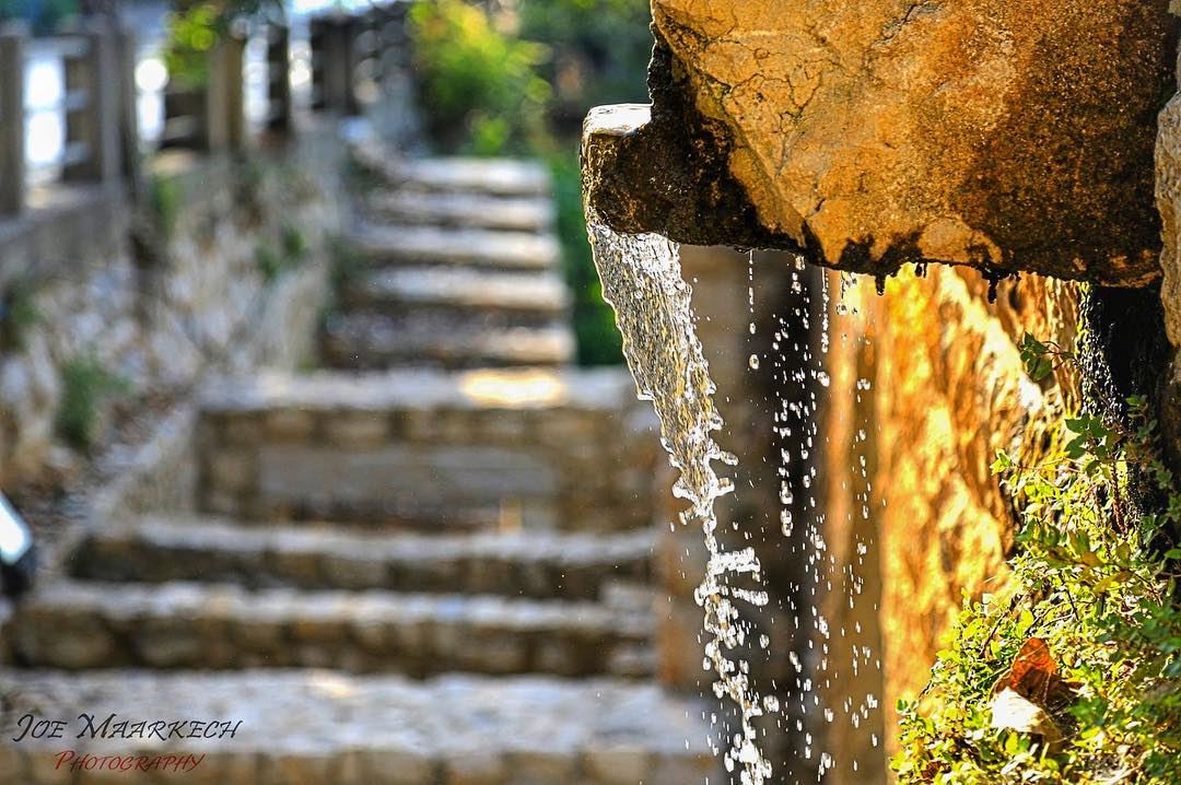 Ghazir, Lebanon.  lebanon  ghazir  source  stairs  old  water  flowers ...