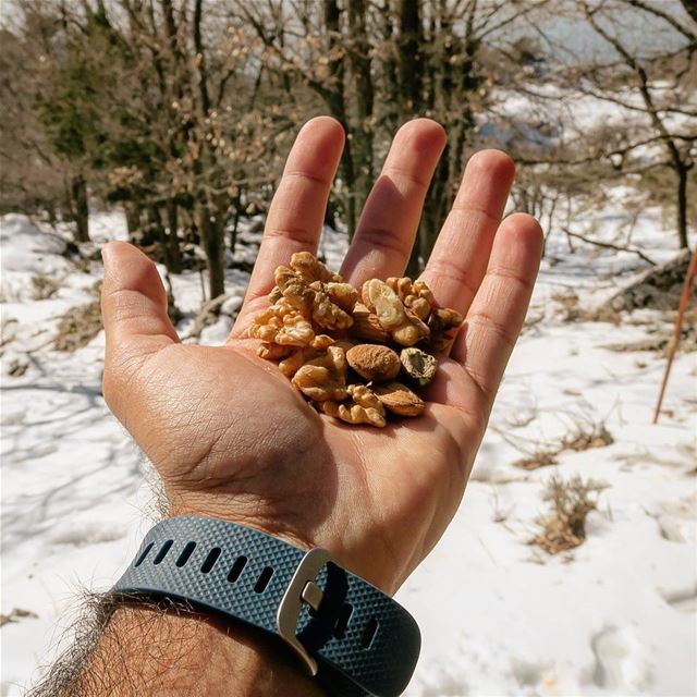 Give & Take. crunchy  nuts  pleasure  snack  hike  nature  outdoors ...