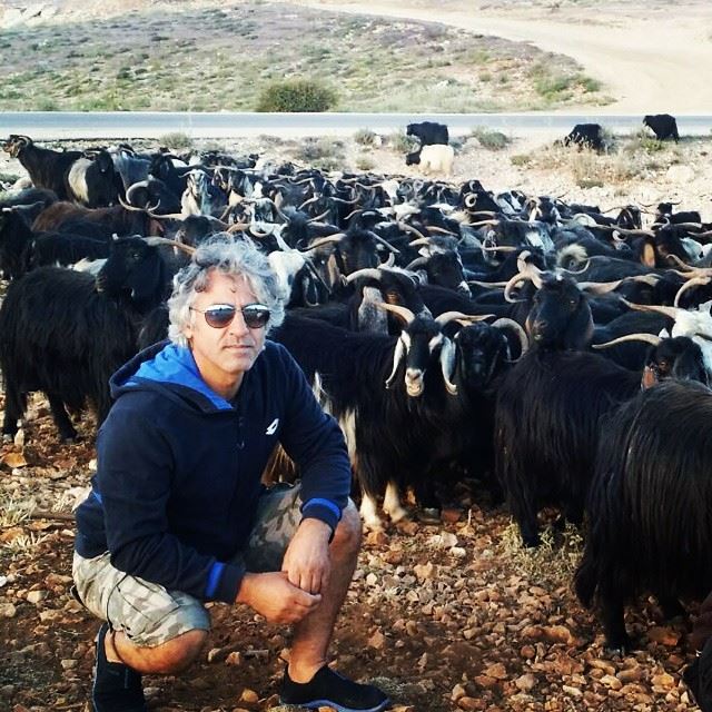  goats normallife freshmilk  animals  mountain  kfardebian ...