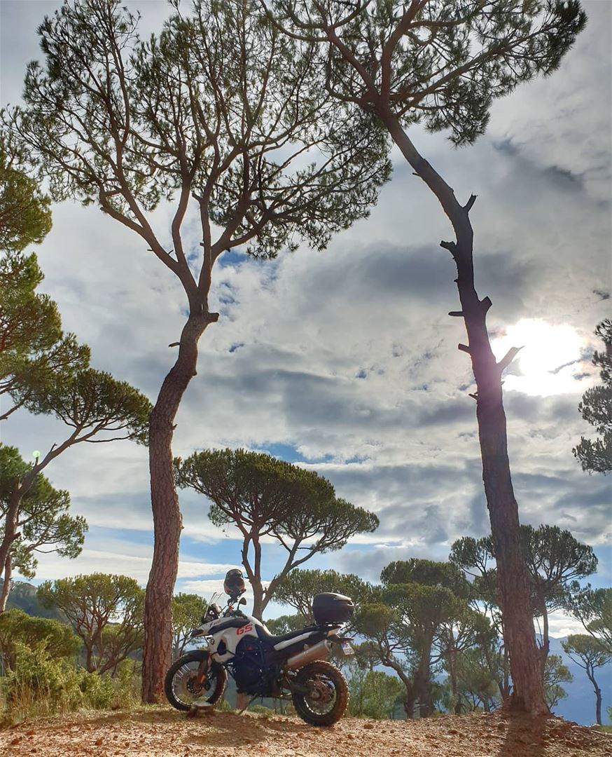 Going more lovely places together 🌳🌳 bmw bmwmotorcycle bmwmotorrad...