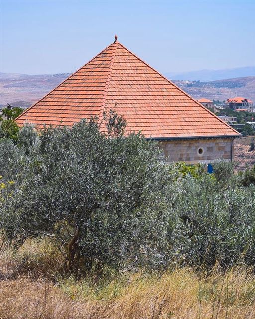 Golden seeds, green olives & red tiles 🌿🏠🌾 these are the authentic ... (Marjayoûn, Al Janub, Lebanon)