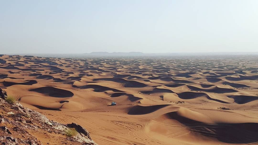 Good Afternoon 🌵______________________________________ sahara  desert ... (Desert Safari Abu Dhabi)