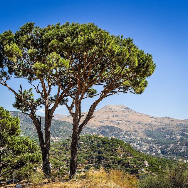 .Good afternoon dear friends! Mount Knaisse and Falougha as seen from a... (Falougha, Mont-Liban, Lebanon)