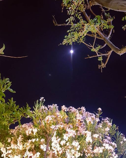 Good evening from BEIRUT moon  beirut_lebanon   hdrphotography ... (Al Rawda Cafe' & Restaurant)