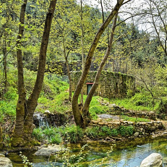 Good morning dear friends will this awesome place near " Nahr al hamam"...