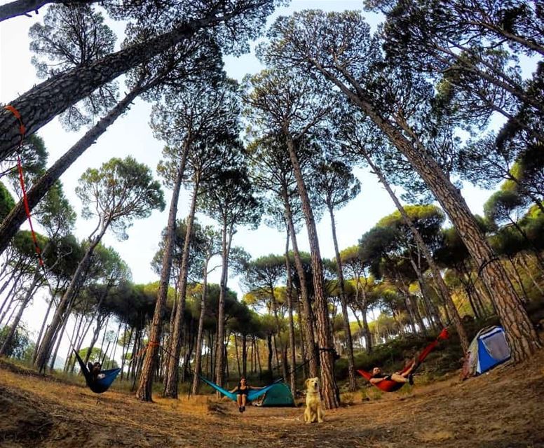 Good morning from  aghmid  valleycamp  camping  hammockcamping ...