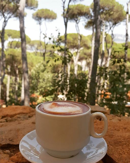 Good morning from Bkassine☕🌳Photo Credits: @nadakhalife82 📸  Morning ... (La Maison de la Forêt)