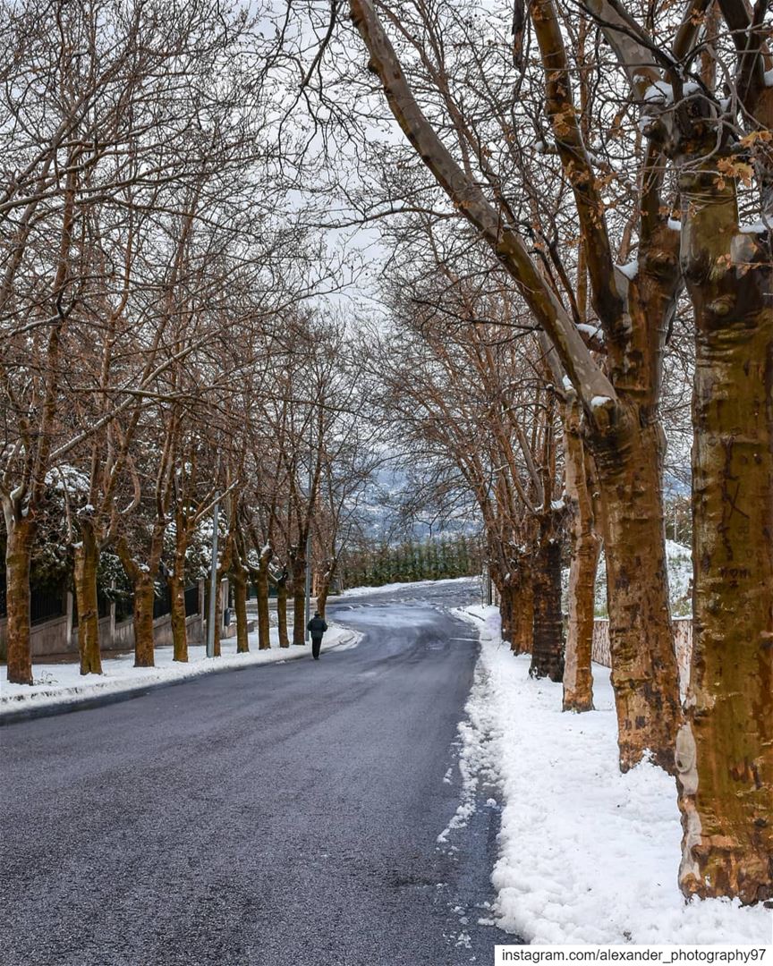 Good morning from snowy Sawfar ❄️🍁 - Yes this picture is taken on 21... (Sawfar, Mont-Liban, Lebanon)