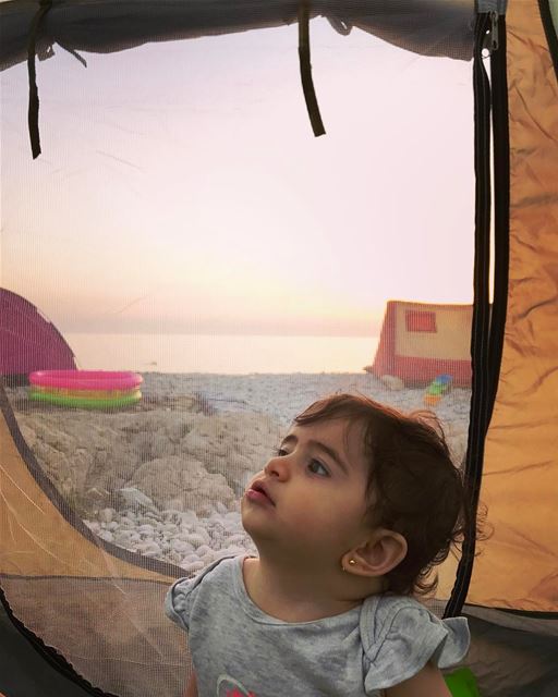 Good morning from Tati 👼🏻! She like camping...... livelovelife ... (Kfar Abida)