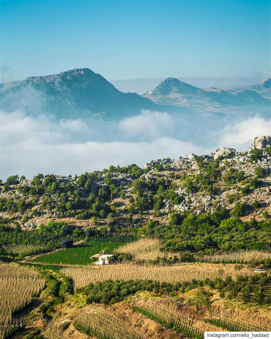 Good Morning 🌞  Lebanon 🇱🇧  Lassa  Top  Mountain  Mountains  Nature ... (Lassa-Jbeil)