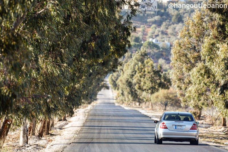 Good morning. Let’s go for a ride.- hangoutlebanon  lebanonpocketguide ... (Al Khiyam, Al Janub, Lebanon)