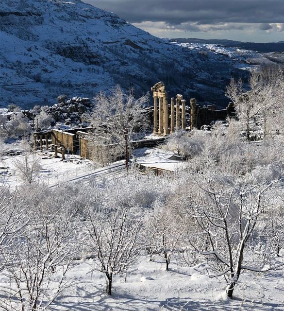 Good morning ❄️  lebanon  winter  snowymountains  faraya  faqra ...