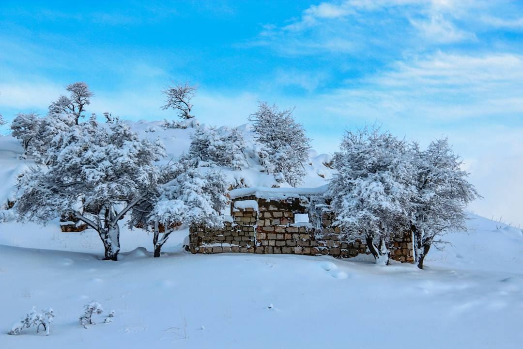 Good morning ❄☃️.... snow  lebanon  falougha  abandoned_lb ... (Jabal Fâloûgha)