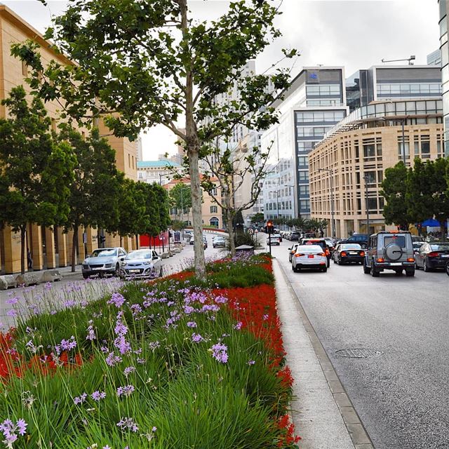 Goodmorning🇱🇧🇱🇧❤❤ flowers  springtime  goodvibes  landscape  building... (Beirut, Lebanon)