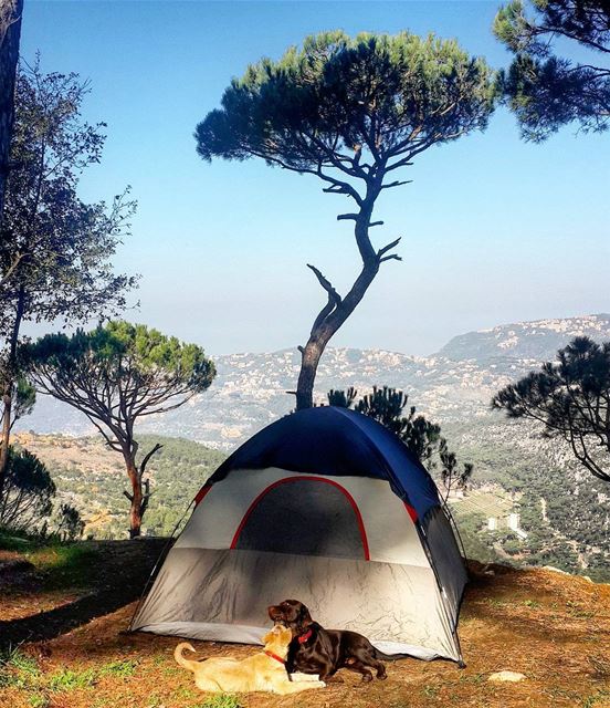 Goodmorning  lebanon  lovecamping  livelovecamp  wildernesslebanon ...
