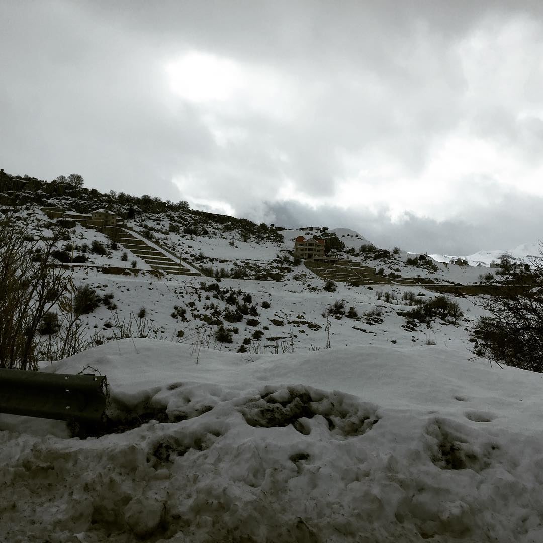  goodthuesday  goodmorning  snow  coldwheather  staywarm  whitemountains ... (Majdel Tarchich)