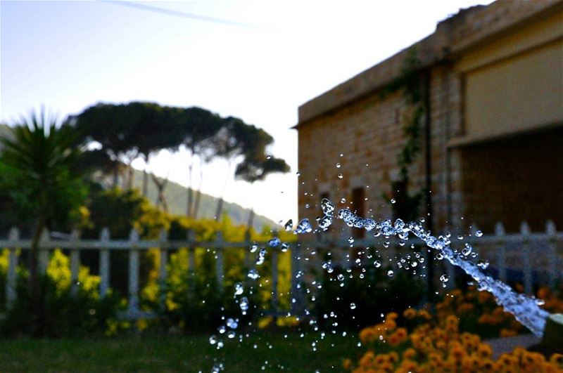 Grama's house water gardening ... Lebanon  lebanesehouses  ig_lebanon ... (Aramoun Keserwan)