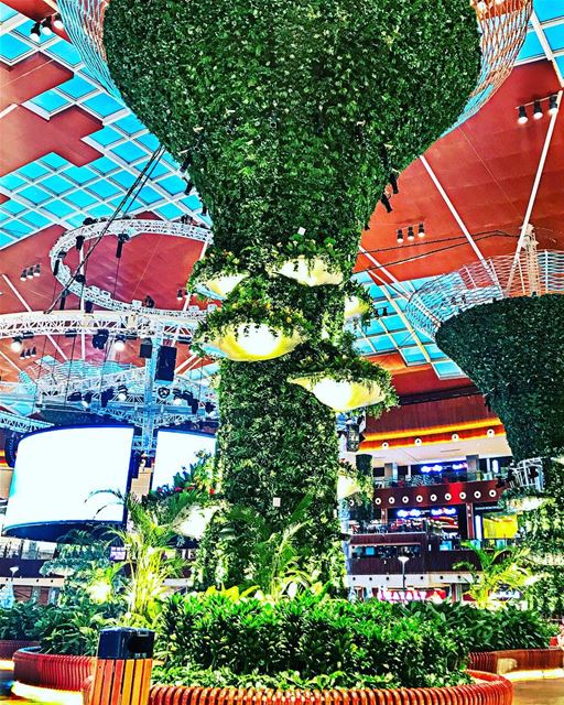 Green is the prime color of the world...  green beauty nature amazing... (Mall of Qatar - قطر مول)
