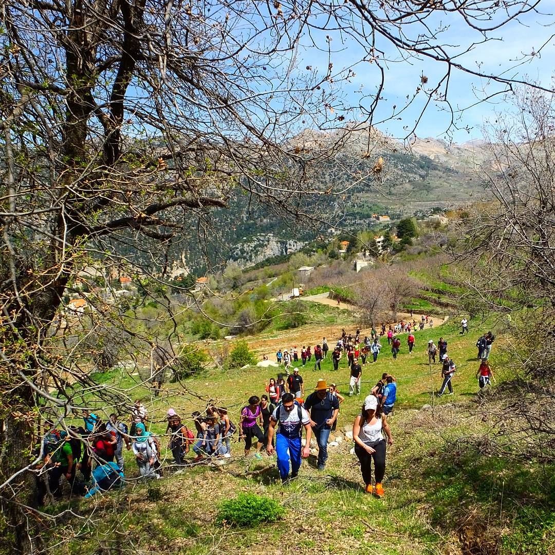  greenculture  hiking  tannourine  tannourinelebanon  balaa  balaalebanon ... (Tannourine,  Liban-Nord,  Lebanon)