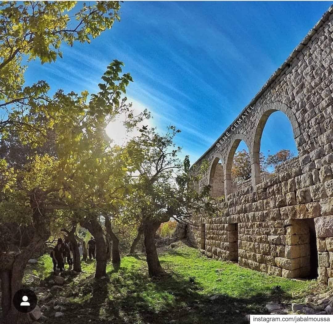 Happiest Easter from all of us at  JabalMoussa! unesco  unescomab ... (Jabal Moussa Biosphere Reserve)