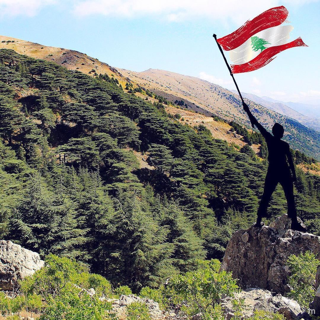-Happy Independence Day 🇱🇧-... cedars  lebaneseindependenceday ... (Lebanon)