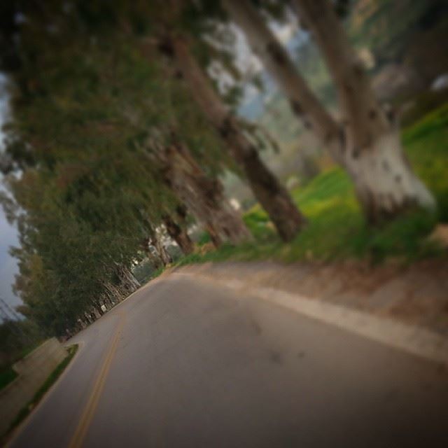  hasbaya marj3youn main road street lines green_trees green beautiful...