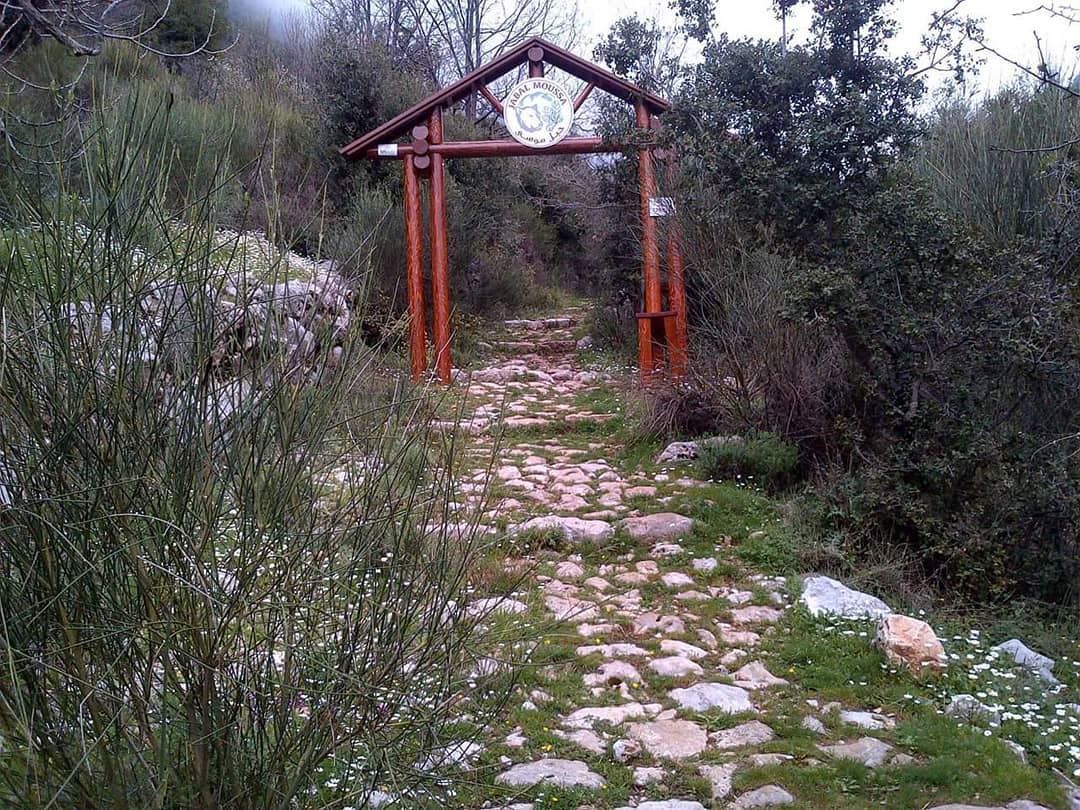 Have a Beautiful week ahead. JabalMoussa  Mchati entrance (Roman Stairs...