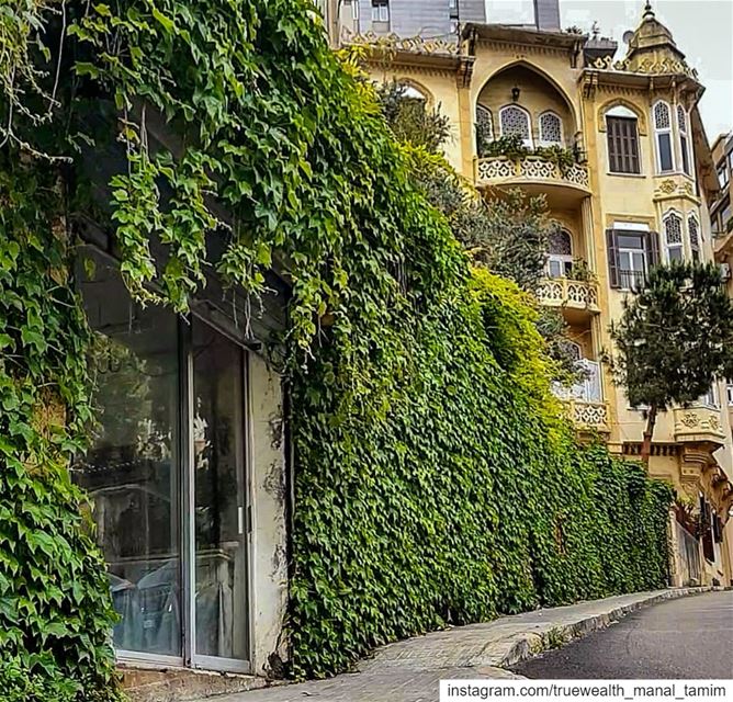 Have you been to Beyrouth before..Well,, whether yes or noBeyrouth looks... (Beirut, Lebanon)