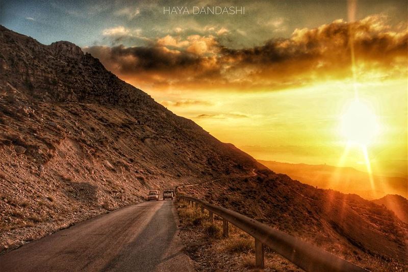 hayadandashi all copy rights reserved©2017_____________________ canon... (North Governorate)