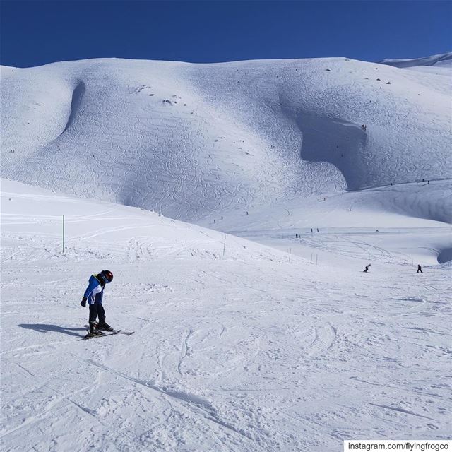 He got what it takes to be an awesome skier!!..... flyingfrog ... (Mzaar Ski Resort Kfardebian)
