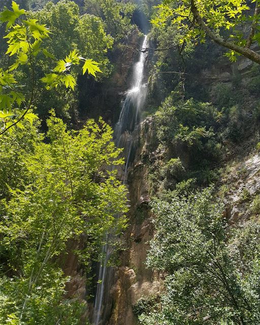 Heaven janne  lebanon  naturelovers  gowild  forest  waterfall  river ...